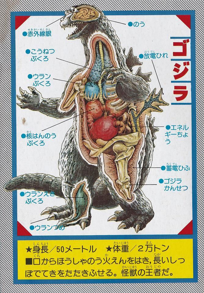 Godzilla S Insides Mykaiju