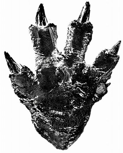 Godzilla 2016 footprint