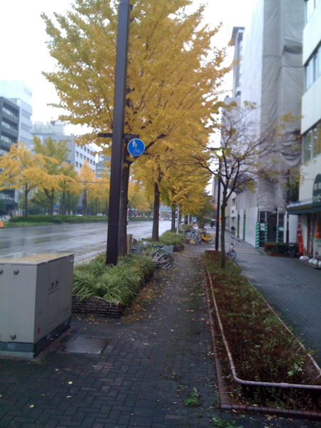 My Nagoya Walk